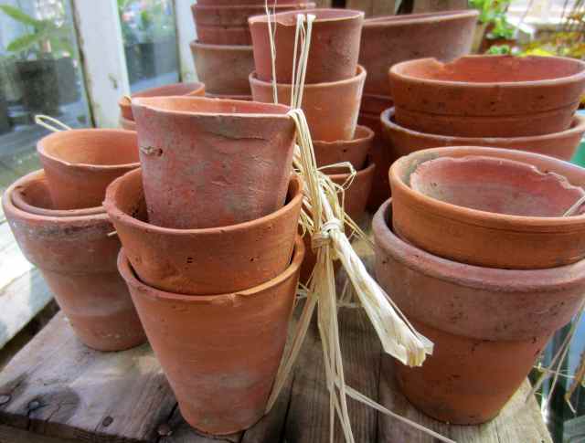Terracota pots