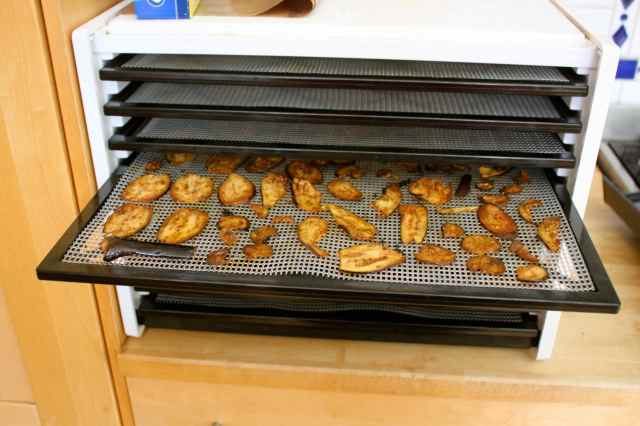 aubergine crisps in dehydrator