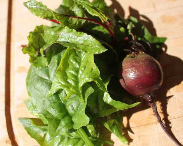 beetroot and leaves