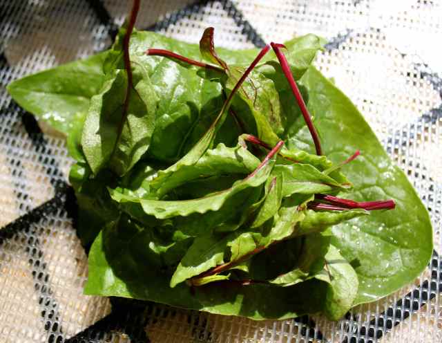 Beetroot leaves and spinach
