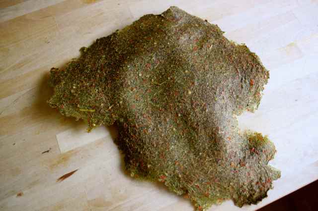 dried veg pulp