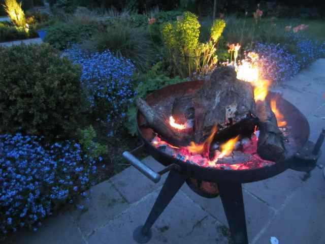 Fire in the garden