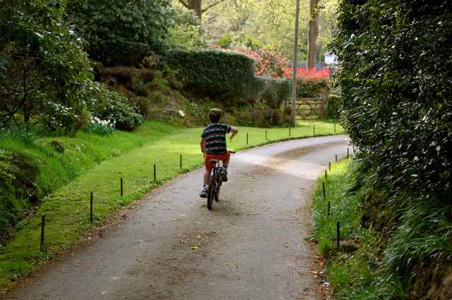 H. cycling in to woods