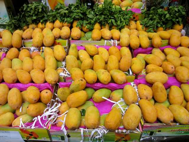 Kesar Mangoes