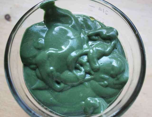 Spirulina cream