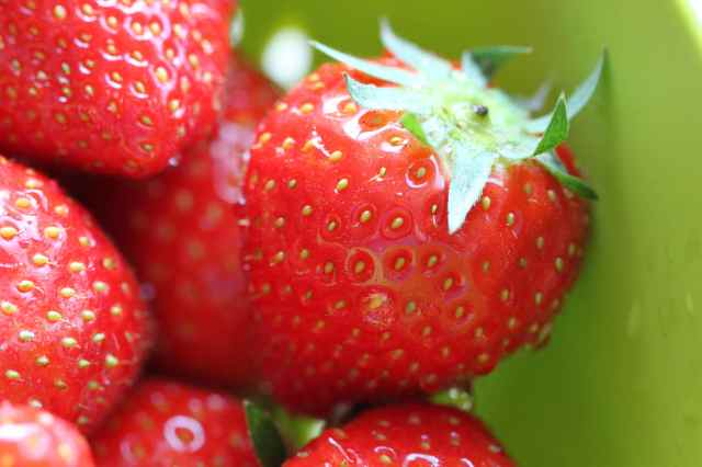 strawberries 1