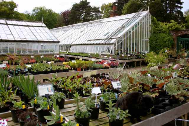 The Walled Nursery 1