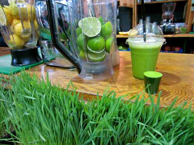 Wheatgrass and green shot