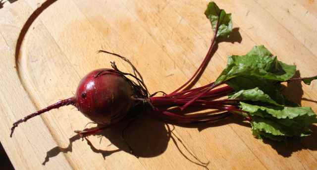 Beetroot on board