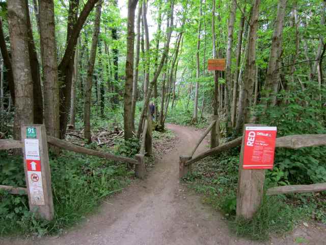 Entrance to Sweetness