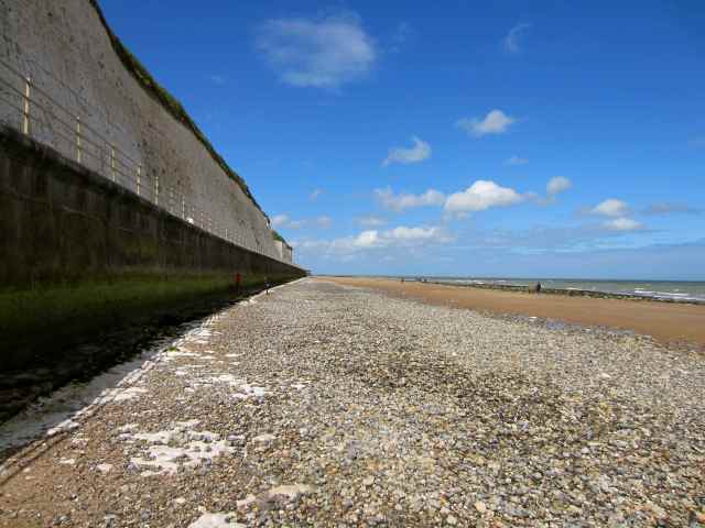 Looking for starfish
