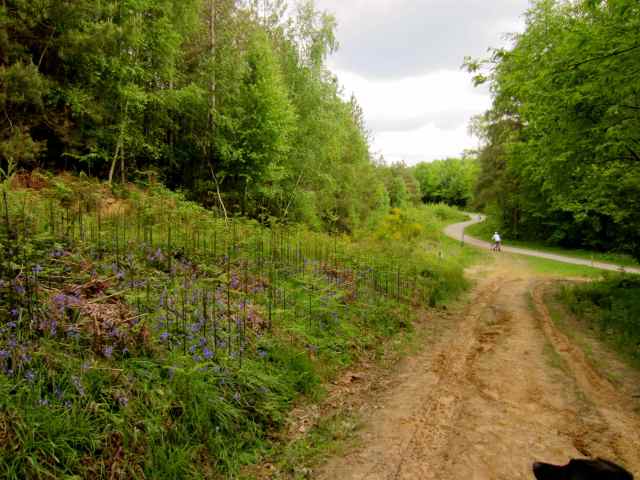 mud track and tarmac