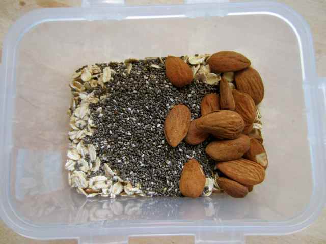 Oats and chia and almonds