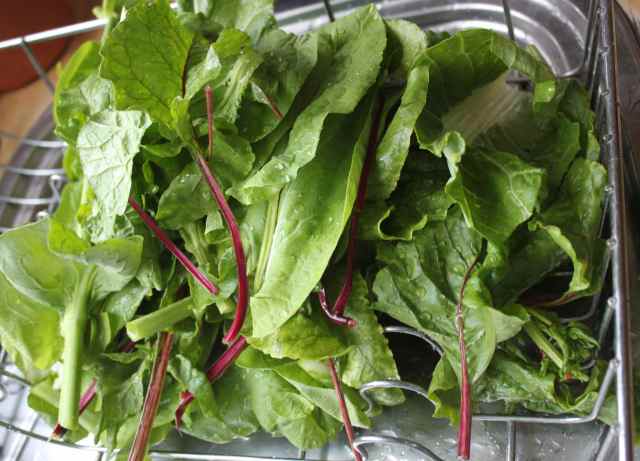 stck of leaves on draining board
