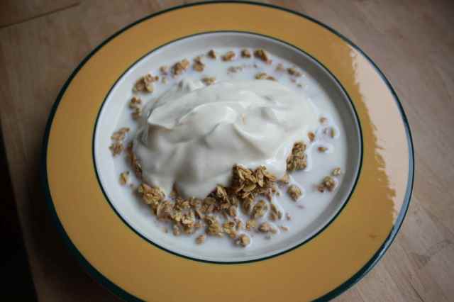 yogurt and cereal