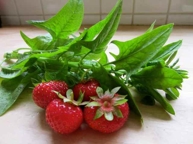 4 strawbs and spinach