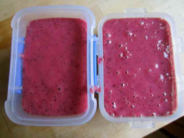 Grapefruit and blackcurrant smoothies