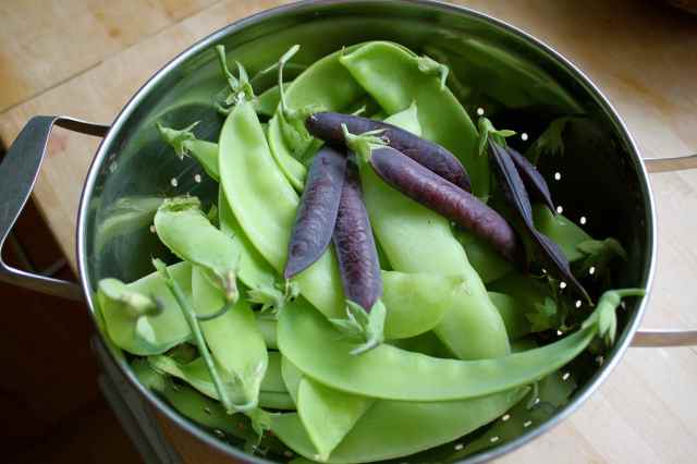 peas in colander