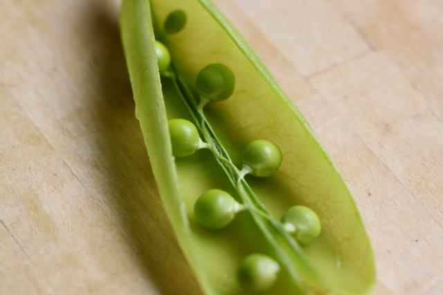 peas in pod green