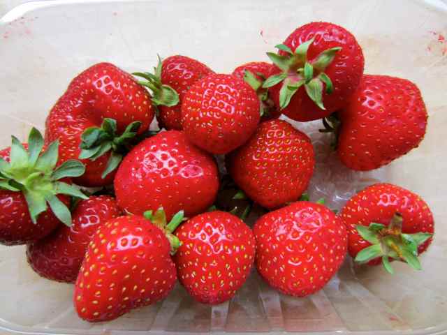 strawberries 15-7-13