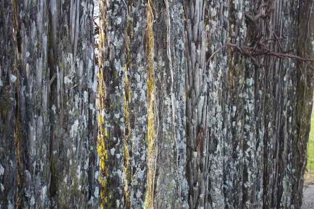 wood at Heron's Flight