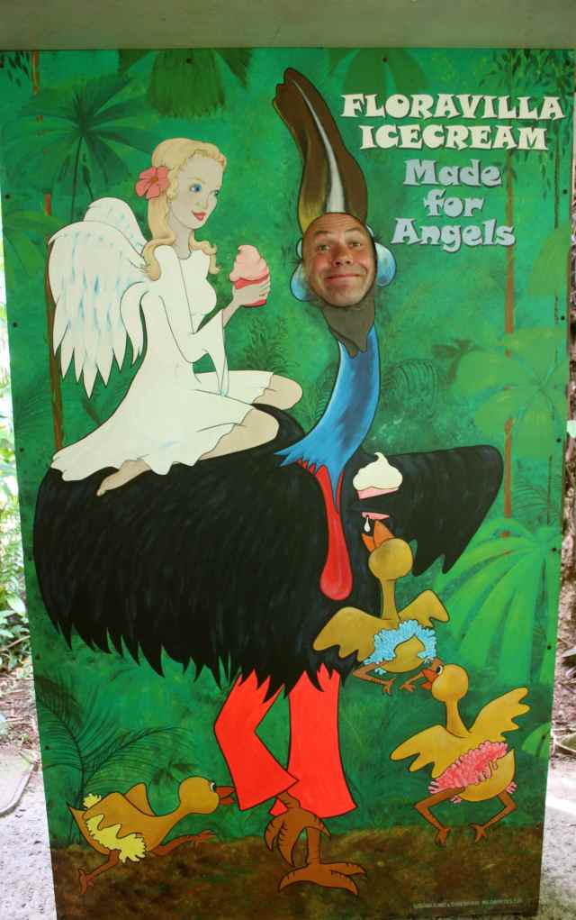 Floravilla chocolate