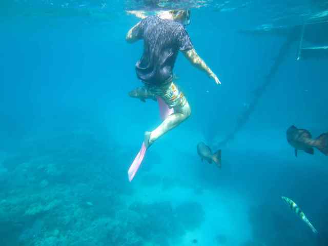 H snorkelling