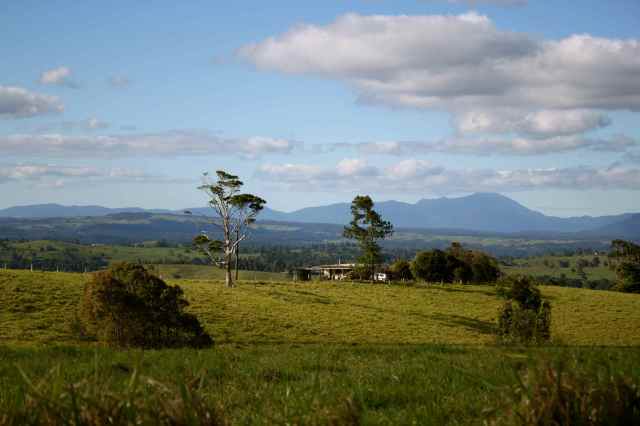 Homestead near Millaa