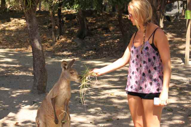 Lara and kangaroo