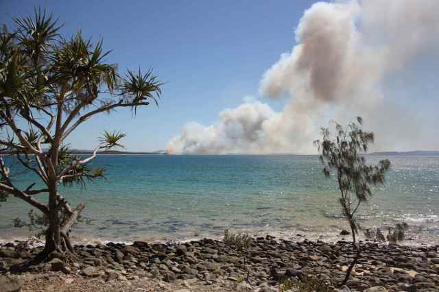 Noosa fire 2