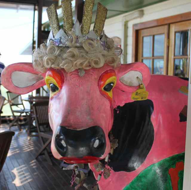 pink cow