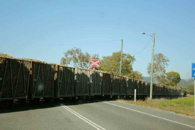 sugar can train again