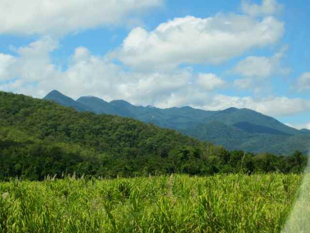 sugar cane mountains