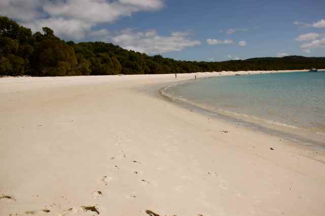 Whitsunday Beach 1