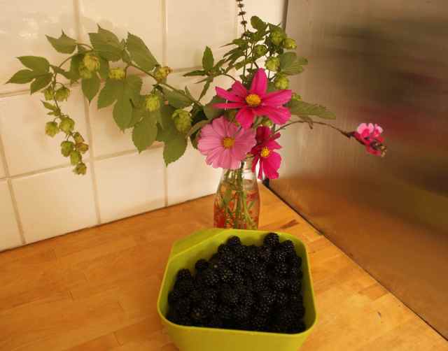 blackberries and flowers
