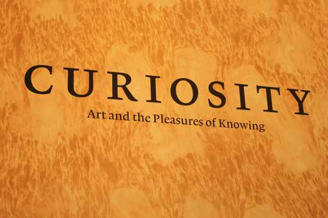 Curiosity exhibition
