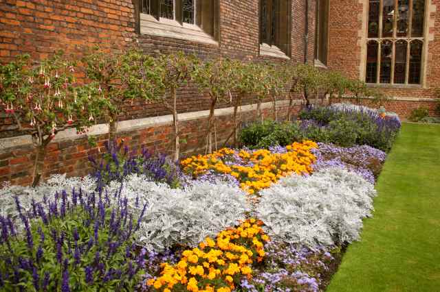 flowers at Magdaelene