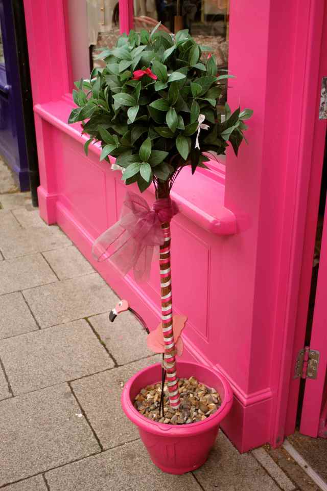 Pink Flamingo Whitstable