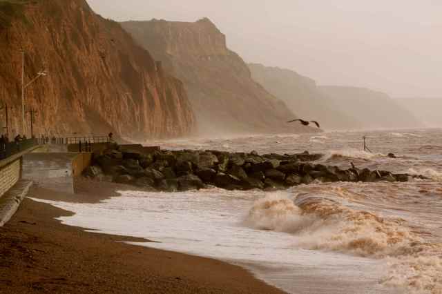 wild sea Sidmouth 2