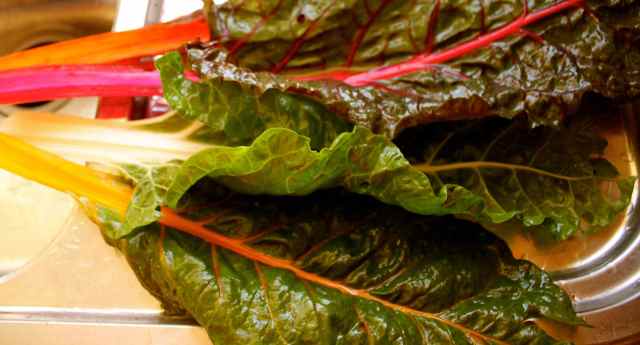 Swiss Chard on sink