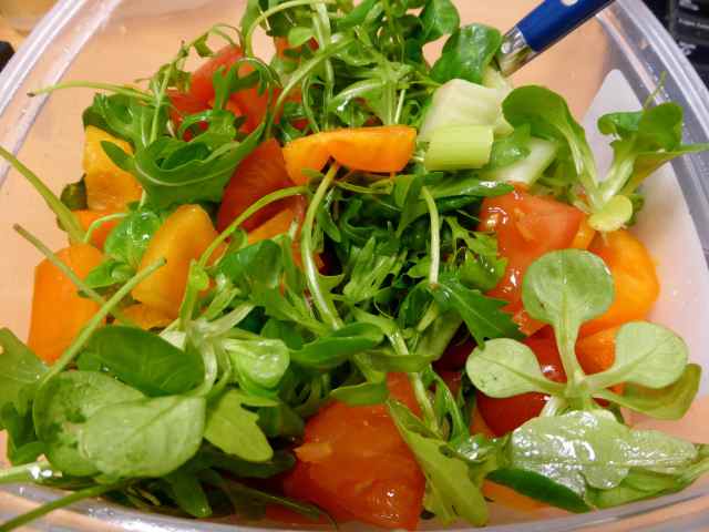 salad 27-1-14