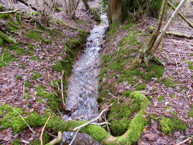 stream over the road
