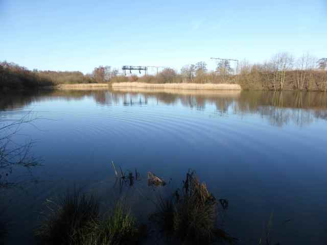 Water on walk 19-1-14