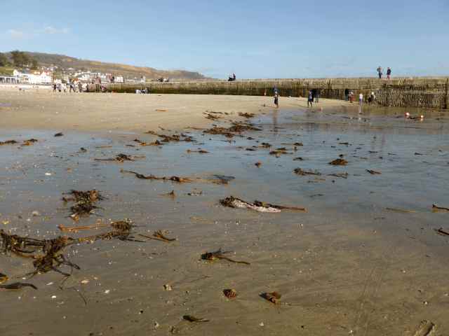 H and H playing football