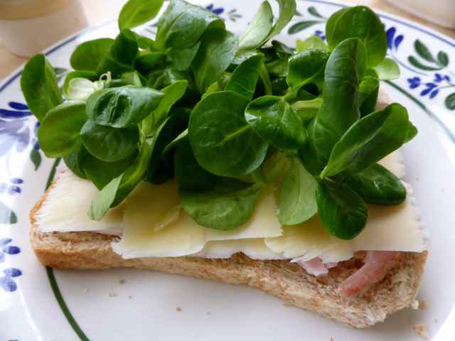 ham, cheese and lamb's letuce