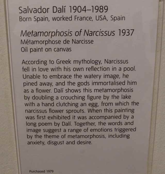 Metamorphosis of Narcissus