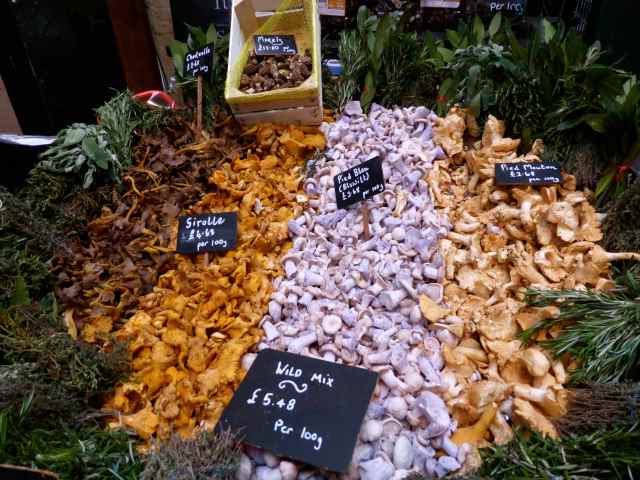 mushrooms at Turnips