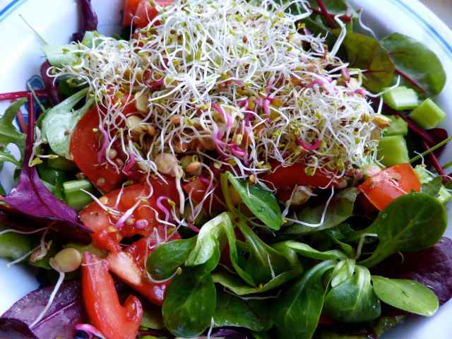 sprout salad 3