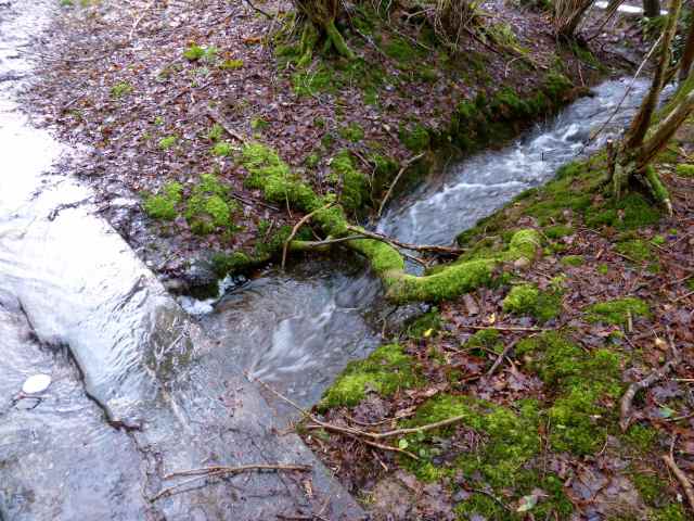 walking over bridge with water