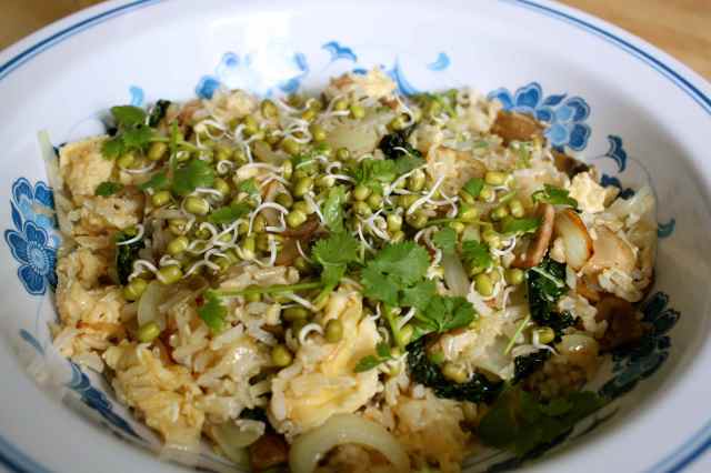 egg fried rice and sprouts